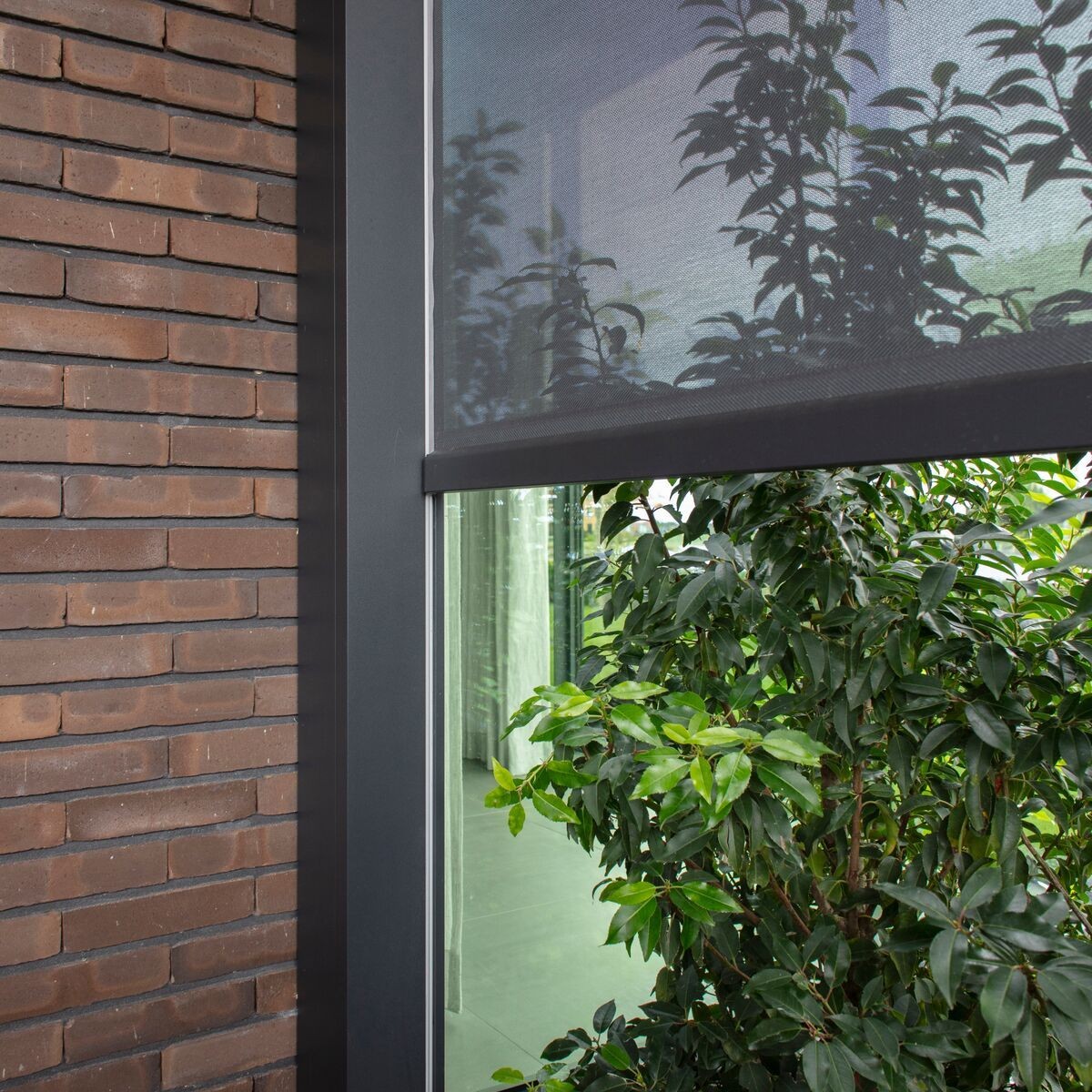 Window with a roller shade next to a brick wall, overlooking green foliage outside.